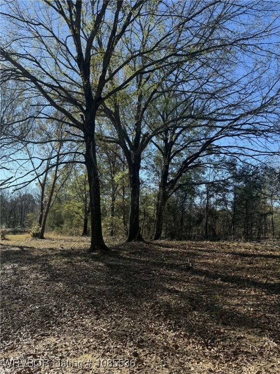 Tract 3 2nd St, Fort Coffee, OK 74959 - photo 4