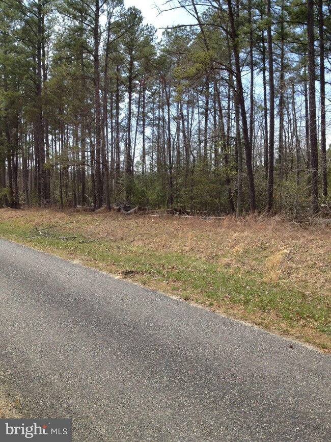 0 Sandy Beach Ln unit 1002228048, King George, VA 22485 - photo 5