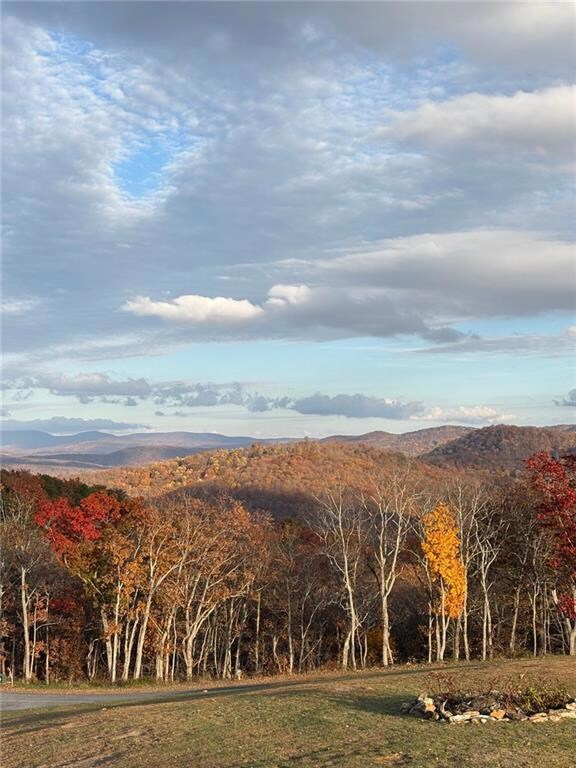 447 Woodward Way, Talking Rock, GA 30175 - photo 4