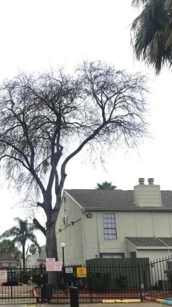 8714 Village of Fondren Dr unit 8714, Houston, TX 77071 - photo 4