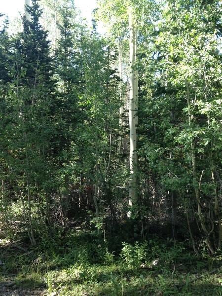 492 E Trail Rd unit Cedar Breaks Mtn Est, Brian Head, UT 84719 - photo 3