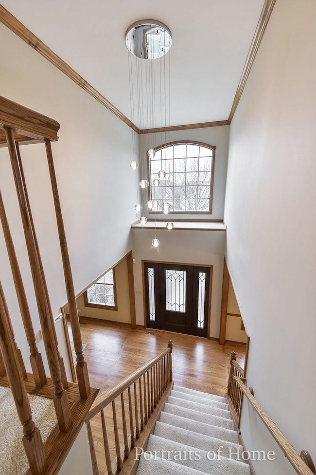 2619 Hoddam Rd unit 4, Naperville, IL 60564 - photo 5