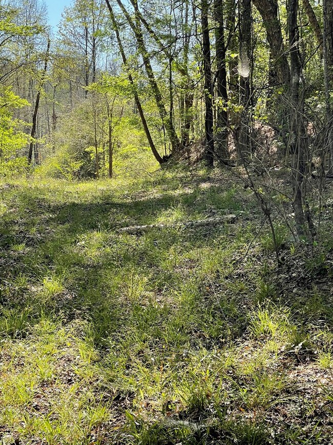 226 Bulter St, McCall Creek, MS 39647 - photo 7