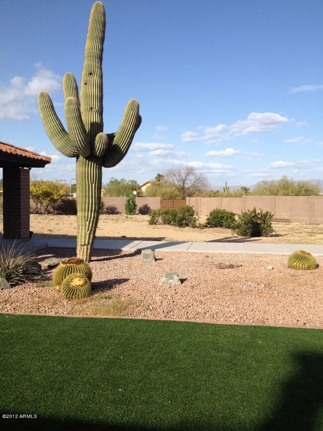 Backyard looking North