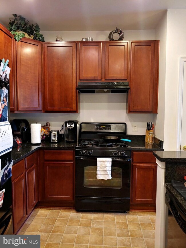 1311 Karen Blvd unit 302, Capitol Heights, MD 20743 - photo 4