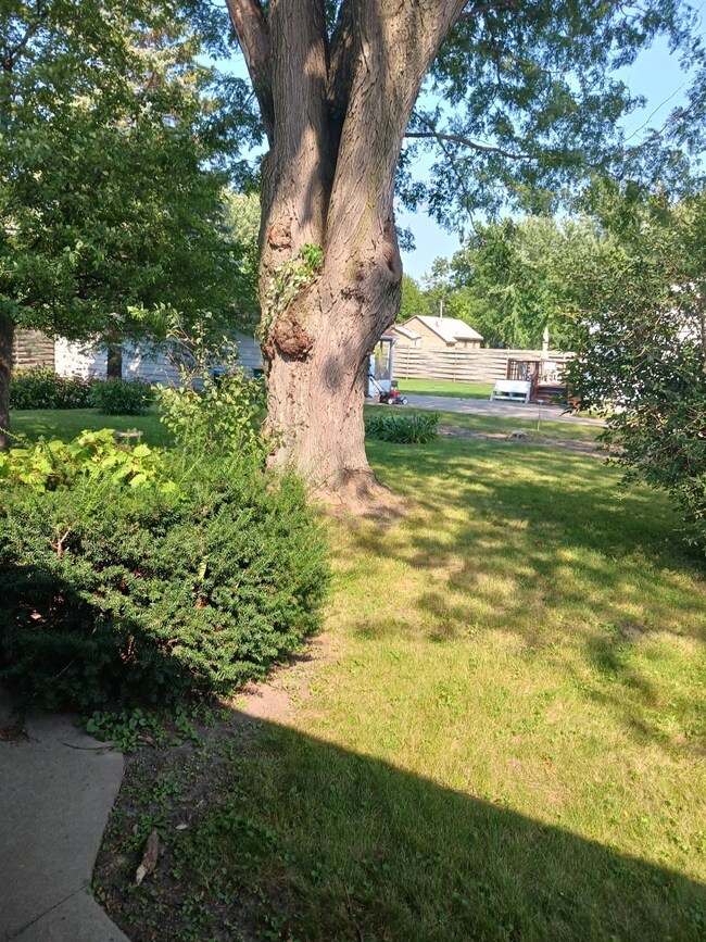 711 S 3rd Ave, Albert Lea, MN 56007 - photo 6