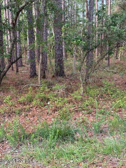 269 S High Point Rd, Boiling Spring Lakes, NC 28461 - photo 2