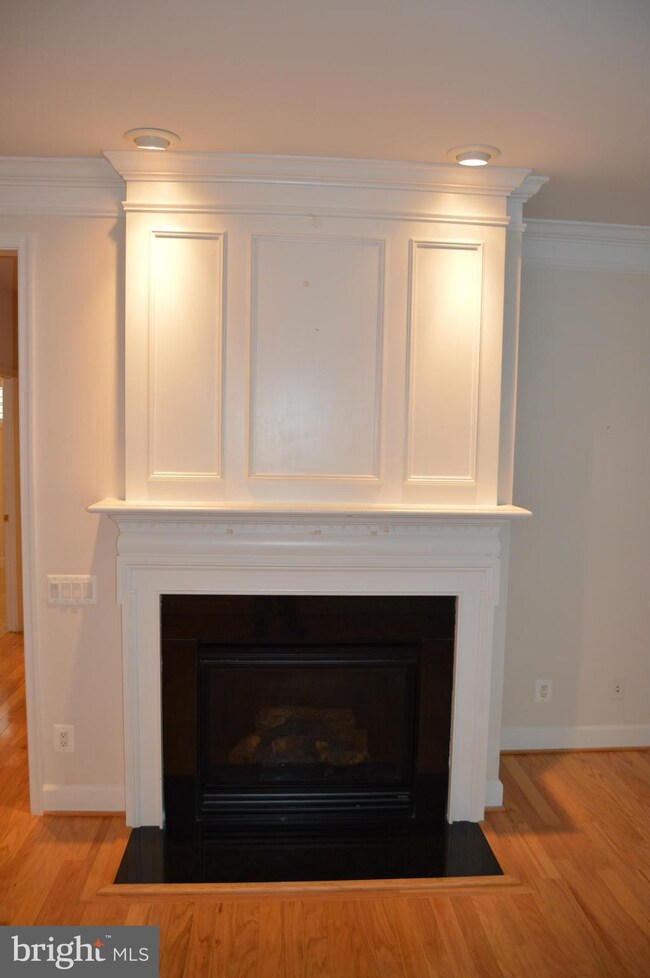 8394 Gingerspice Place, Lorton, VA 22079 - photo 3