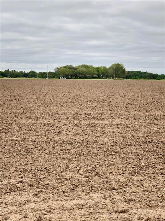 1 Whalen Rd, Donna, TX 78537 - photo 3