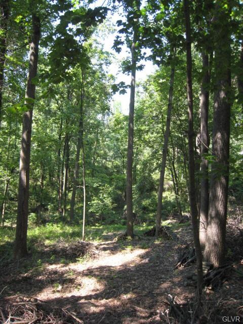 87 Chestnut Hill Rd, Emmaus, PA 18049 - photo 2