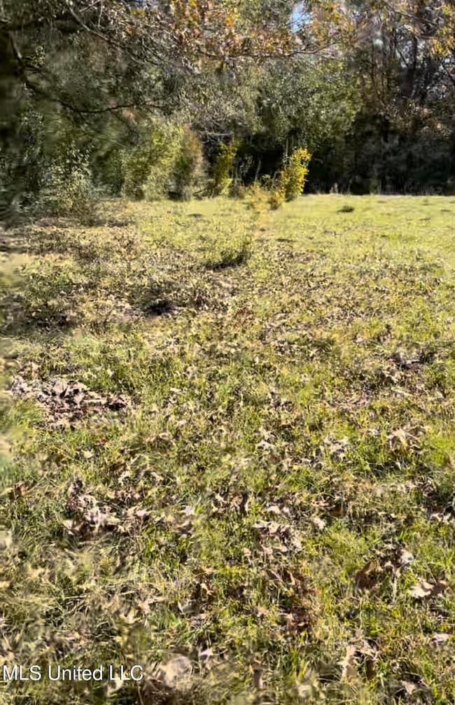 1105 Chapman Rd, Utica, MS 39175 - photo 3