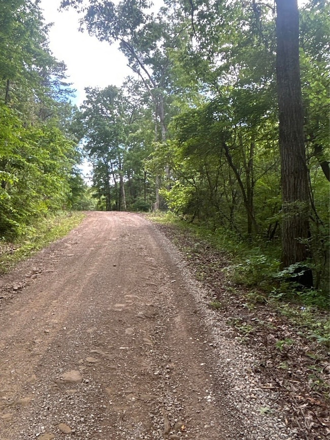 0 van Crabtree Road Lot unit Wp001, Lucasville, OH 45648 - photo 3