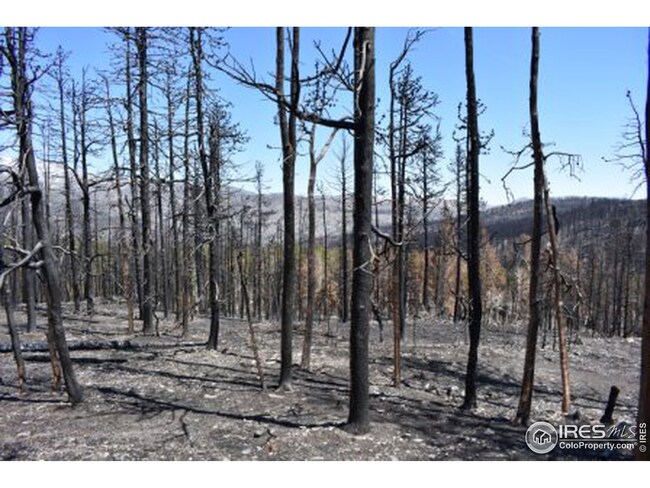 0 Crystal Mountain Rd unit 939671, Bellvue, CO 80512 - photo 6