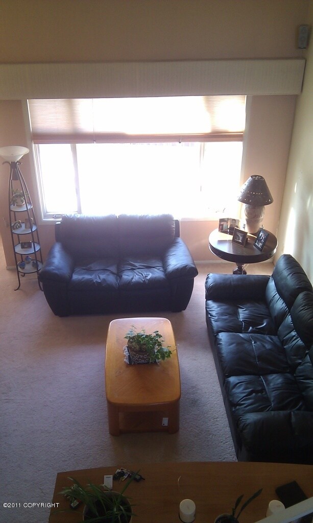 Open Living Room