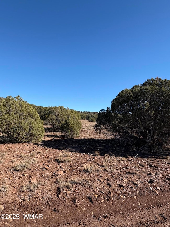 0 N8716 unit NW, Concho, AZ 85924 - photo 4