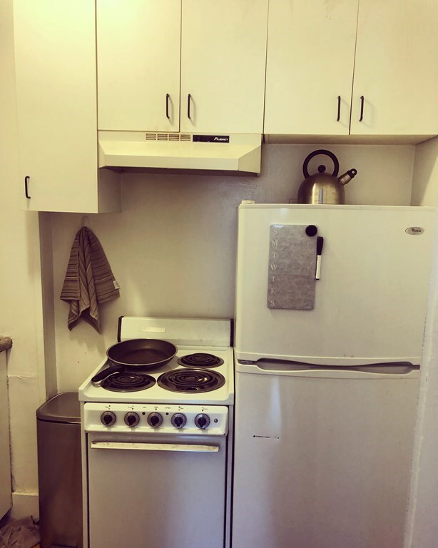 41 Worcester Square unit 3, Boston, MA 02118 - photo 5