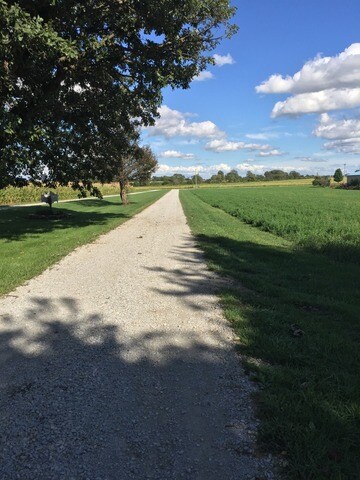 Looking from the edge of the property to the road.