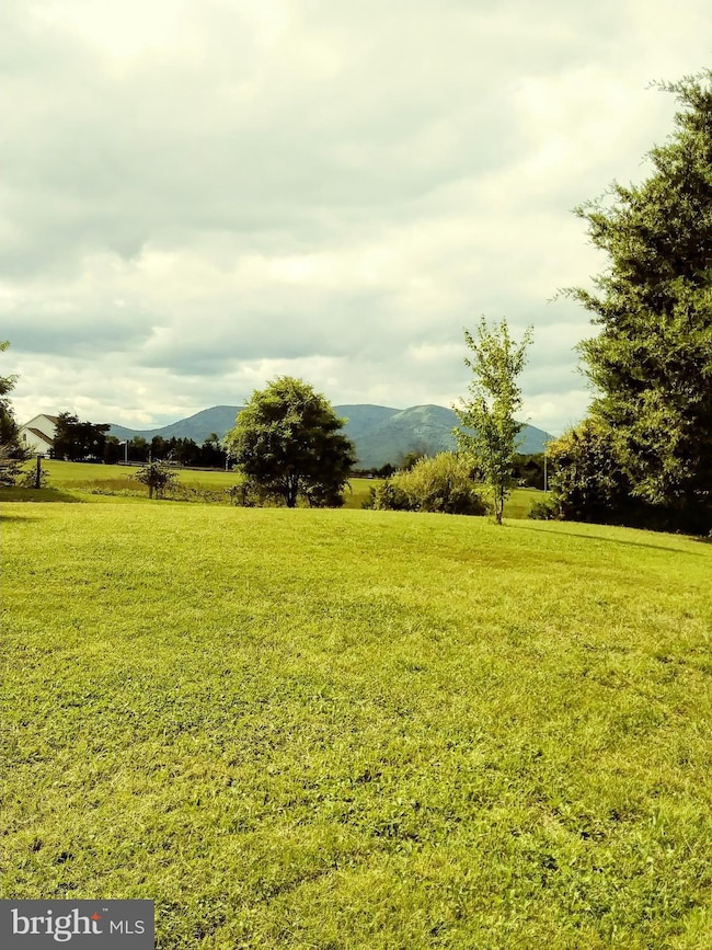 3247 Long Meadow Rd, Middletown, VA 22645 - photo 2