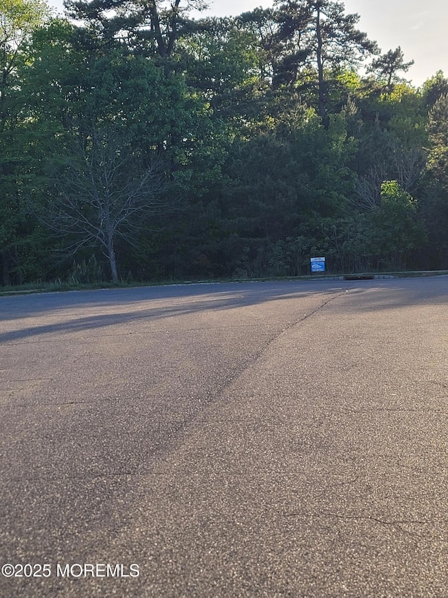 138 Hemlock Dr, Cream Ridge, NJ 08514 - photo 6