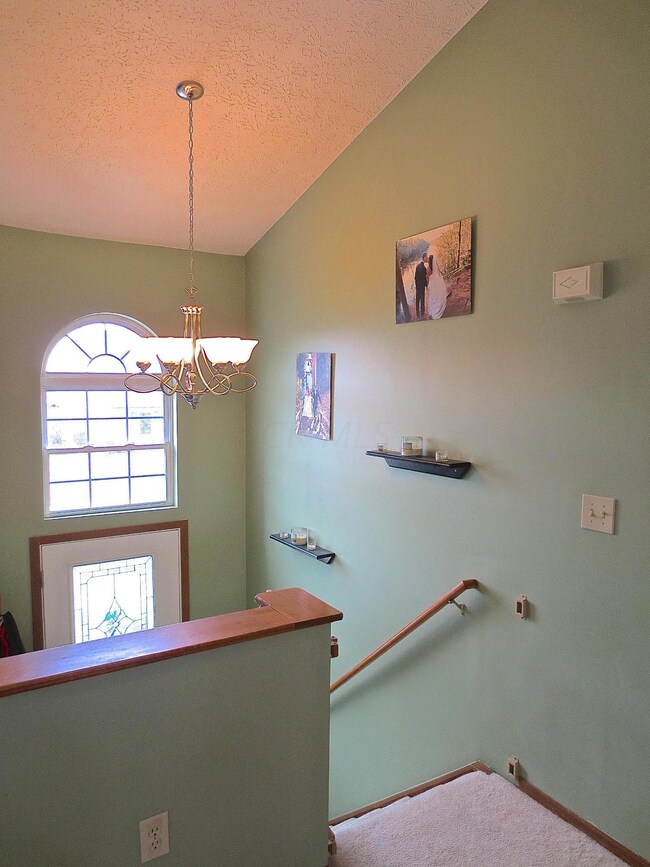 1981 Little Water Dr, Columbus, OH 43223 - photo 5