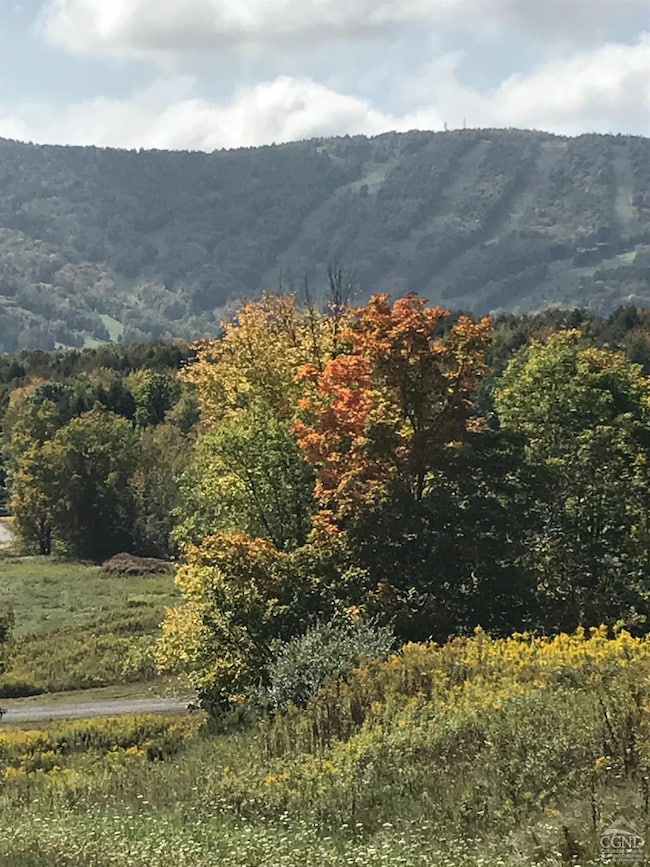 63 Windham Ridge Rd, Windham, NY 12496 - photo 7