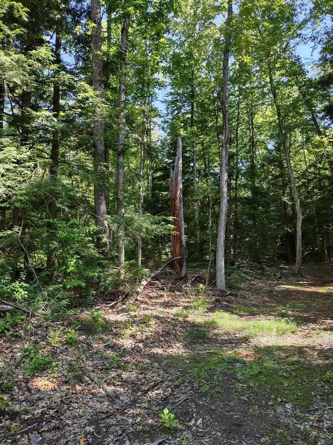 55 Mine Rd unit 17-1, Winchester, NH 03470 - photo 3