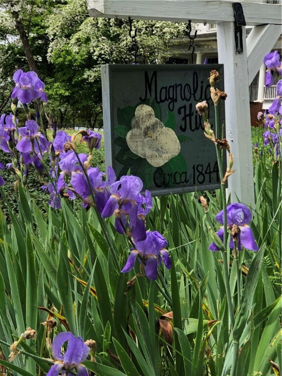 Magnolia Hill during the Spring of 2019!
