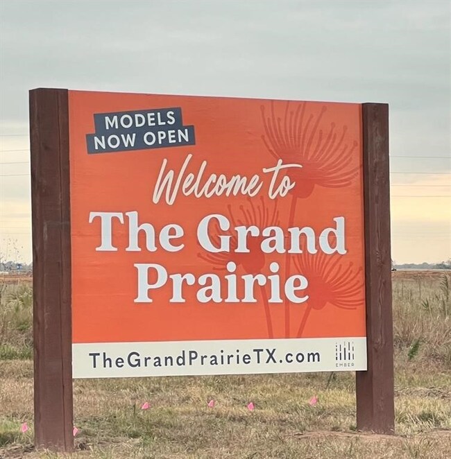 27118 Coneflower Daisy Way, Hockley, TX 77447 - photo 3