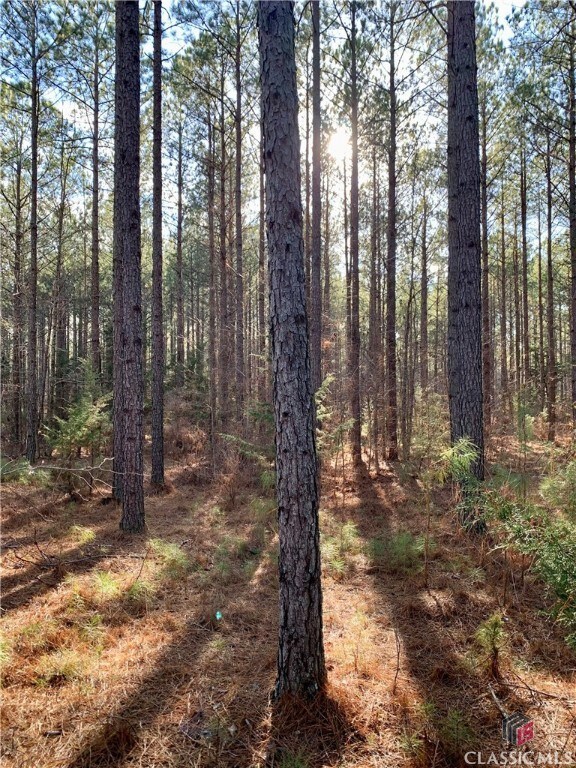 0 Gene Smith Rd unit 1013872, Carlton, GA 30627 - photo 4