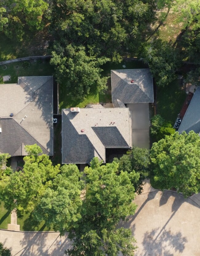 8115 Forest Commons St, Houston, TX 77095 - photo 4