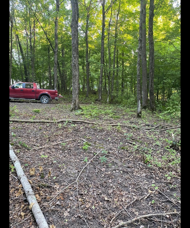 TBD Tbd, Mazeppa Township, MN 55956 - photo 4