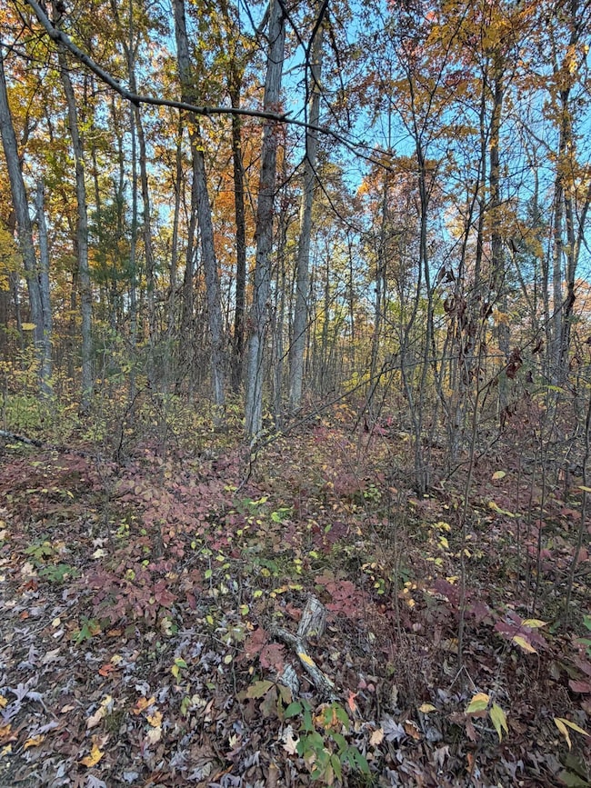 V/L Maple Hill Rd unit Parcel A, Howard City, MI 49329 - photo 7