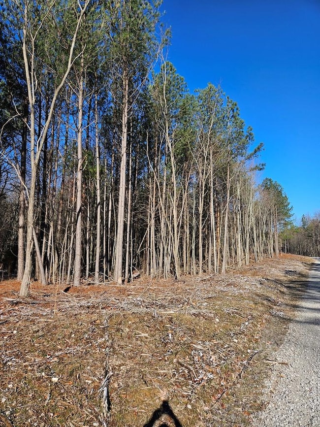Lot 57 Spokelay Rd, Spencer, TN 38585 - photo 4