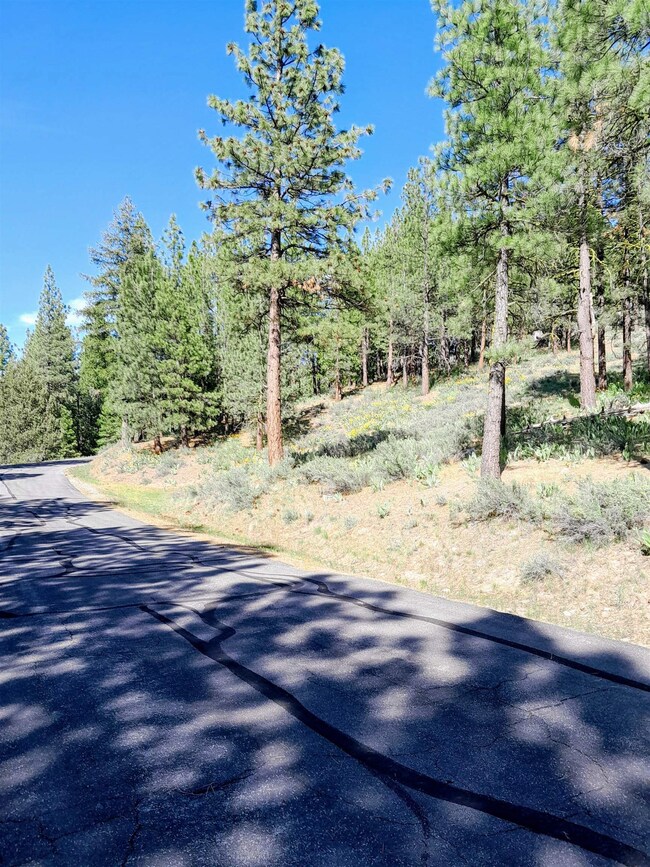 3.2 acres and tons of privacy.  Set home up on the saddle for increased views.