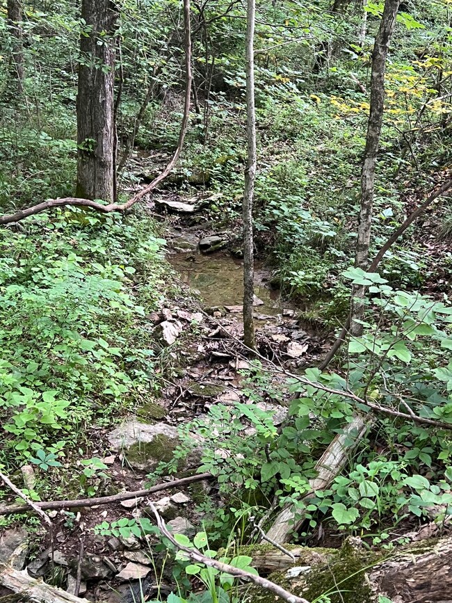 1360 Case Rd, Prospect, TN 38477 - photo 4