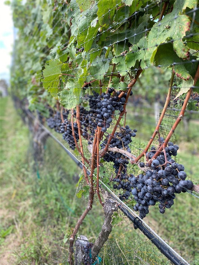 6094 Sound Ave, Jamesport, NY 11947 - photo 2