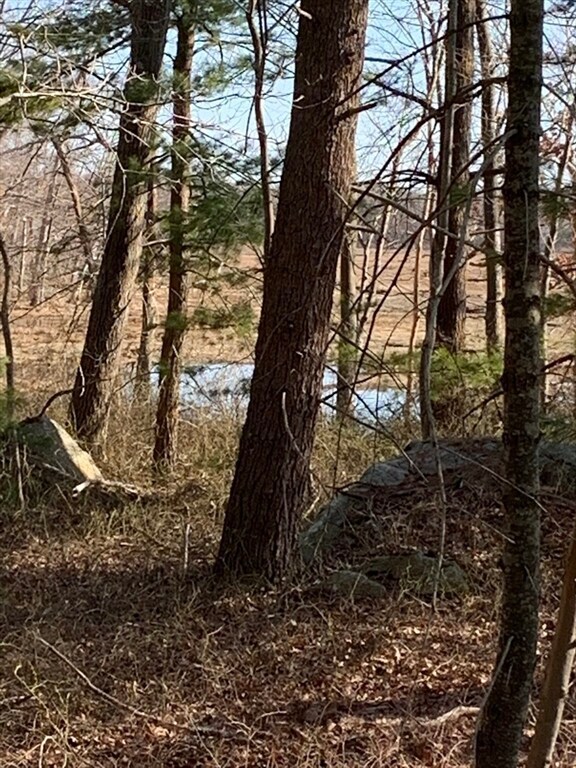 100 Forest Rd, Salisbury, MA 01952 - photo 6