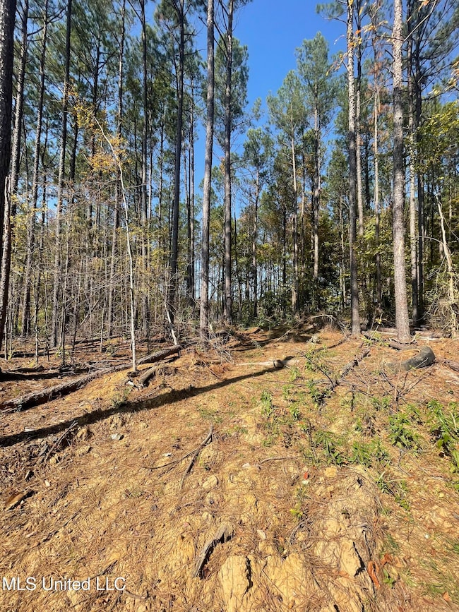 0 Ella Ln unit 4095033, Byhalia, MS 38611 - photo 2