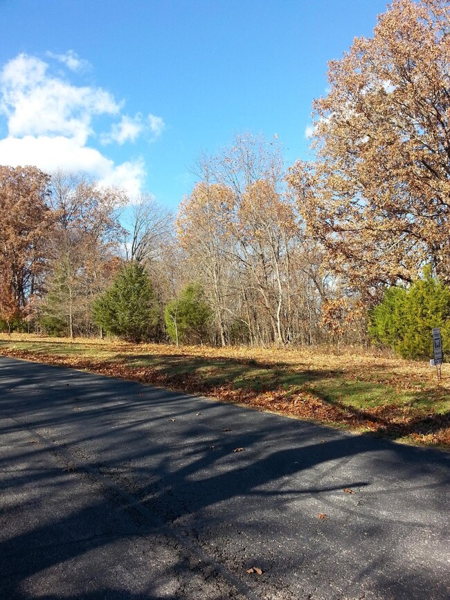 Lot 37 Buttonwood, Kimberling City, MO 65686 - photo 2
