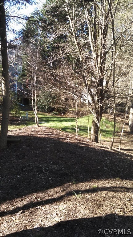 2713 Stingray Ct unit 2713, Henrico, VA 23233 - photo 5