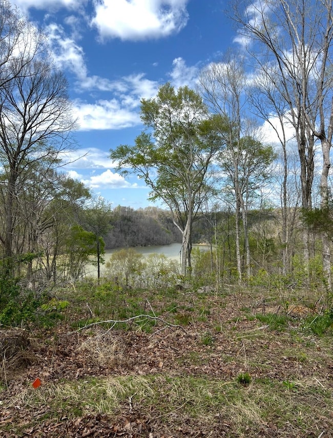 12 W Old Jamestown Rd, Russell Springs, KY 42642 - photo 3