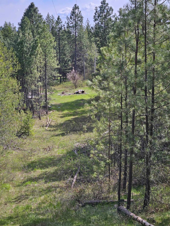 4464 Woods Way, Springdale, WA 99173 - photo 3