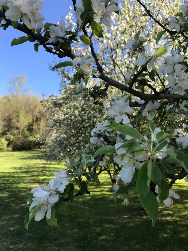 B8B20C49-465A-4C6E-8235-E8D472363F3F