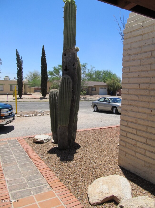 View from front door