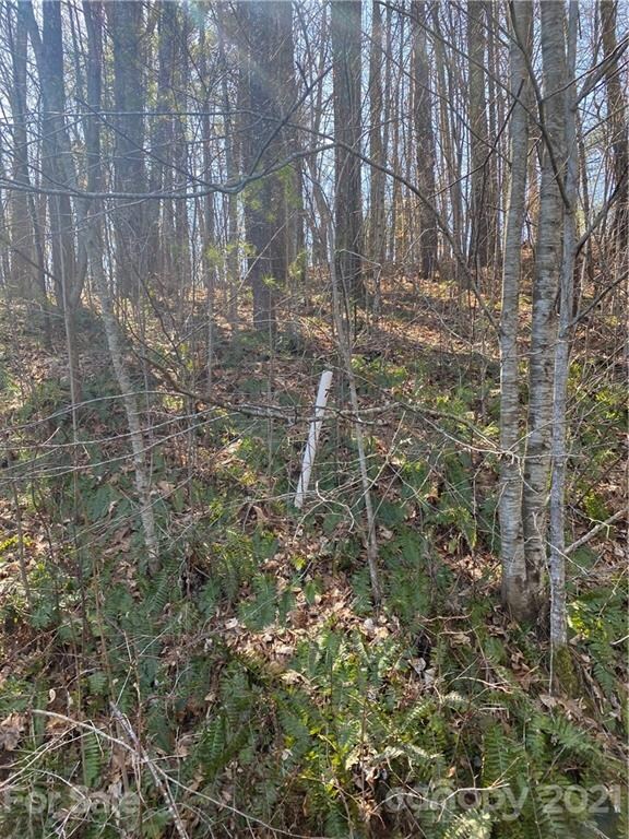 Lot 7 Riverside Hills Rd unit 7, Burnsville, NC 28714 - photo 6