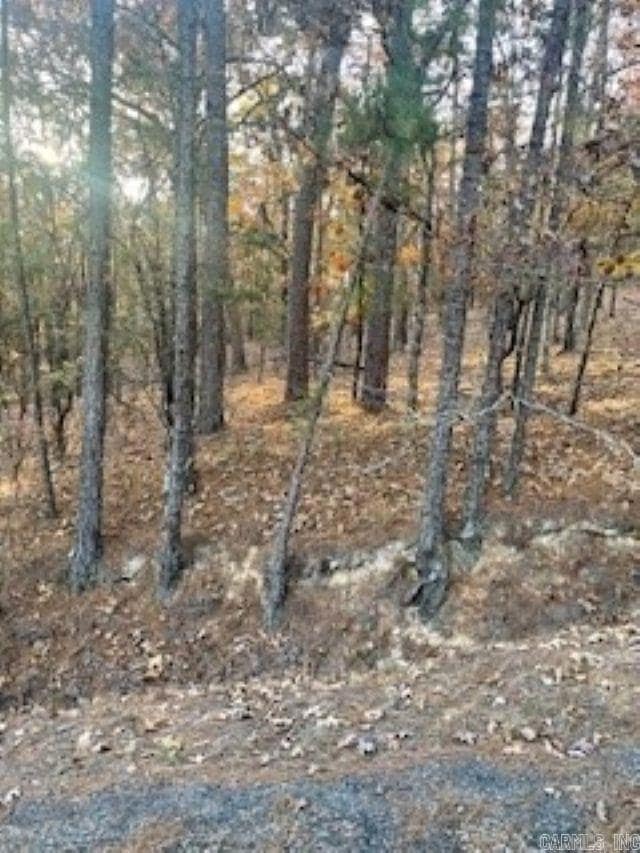 0 Rustic Hills Trail unit 25046619, Royal, AR 71968 - photo 4