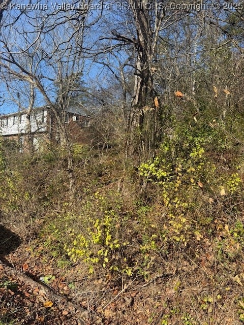 0 Kay Neva Ln, Charleston, WV 25312 - photo 2