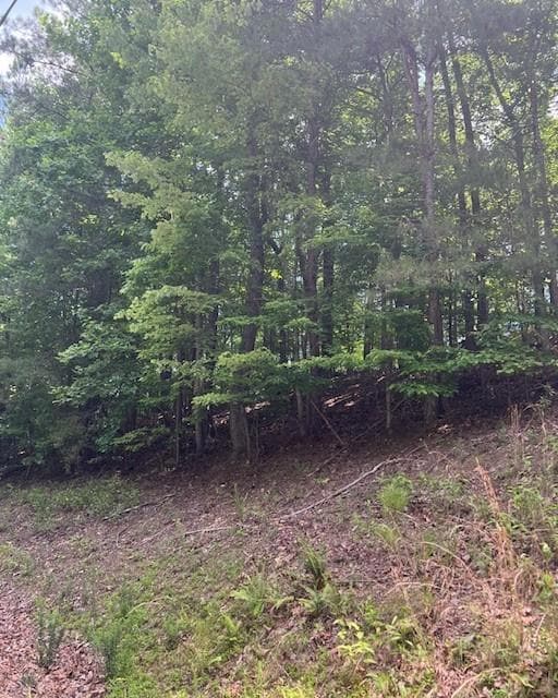 133 Adair Dr, Ranger, GA 30734 - photo 5