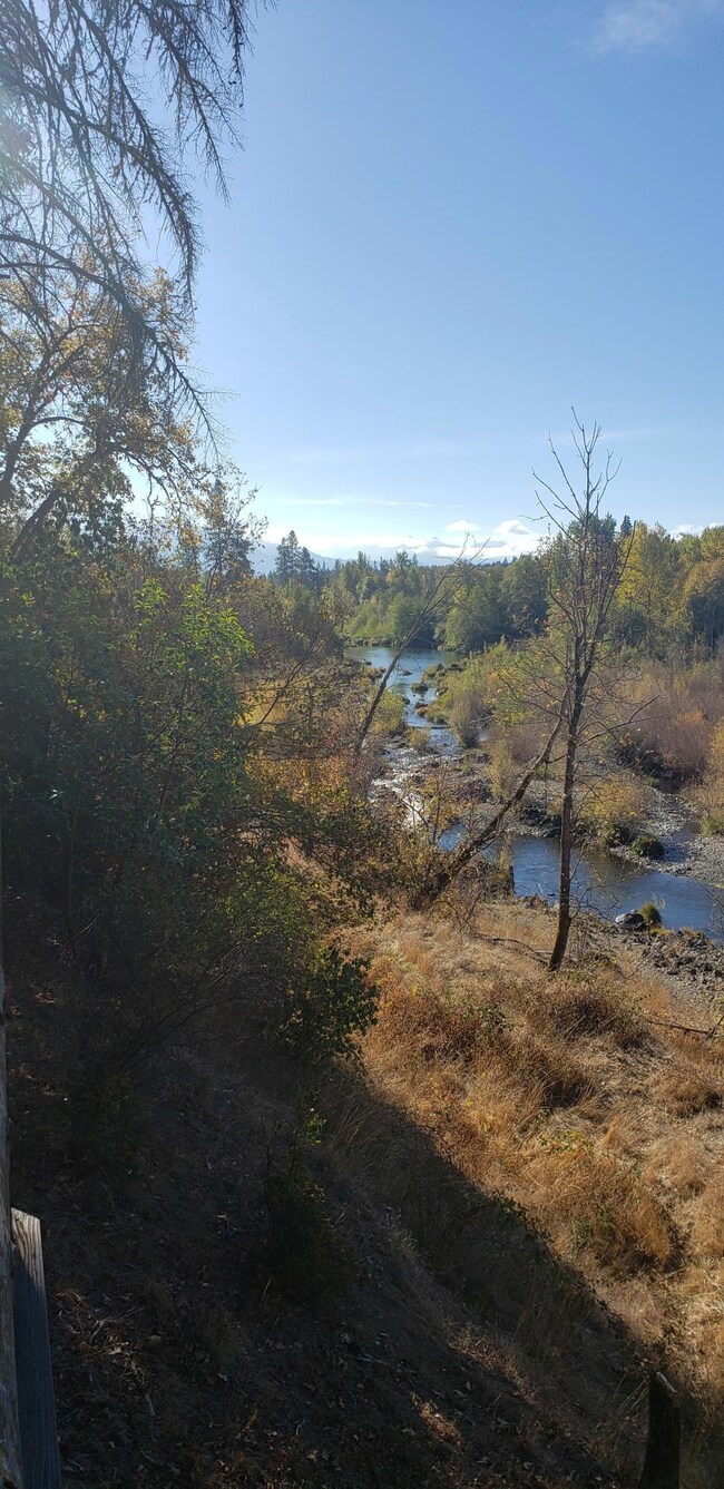 View of River- mtns.