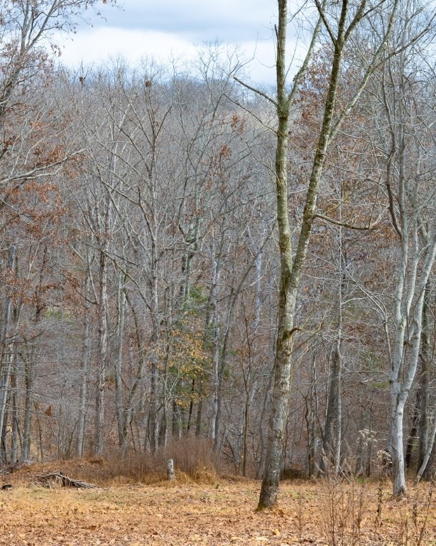 LOt 4 S Old Dutch, Prairie Creek, AR 72756 - photo 3